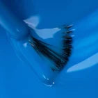 Dali Blue Nail Polish