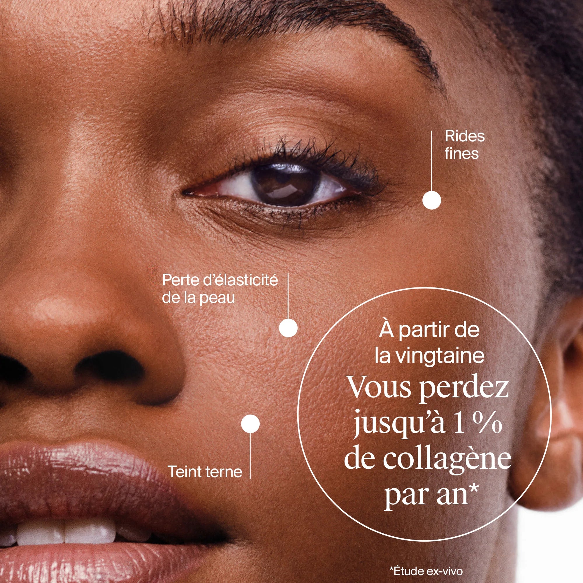 Neutrogena Collagen Bank Day Cream SPF30