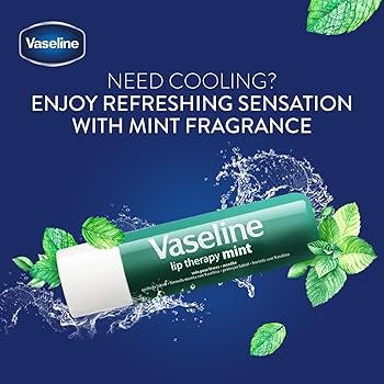 Vaseline Lip Care Mint Stick