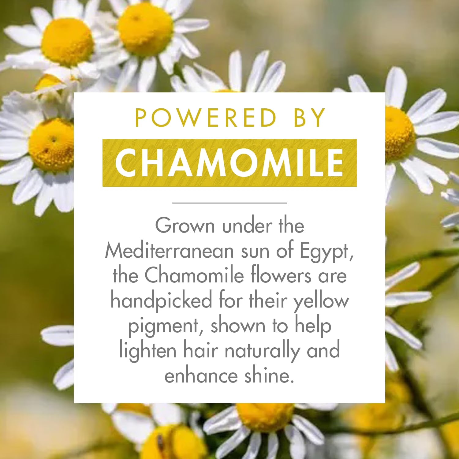 Klorane Conditioner With Chamomile For Blond Hair 200ml