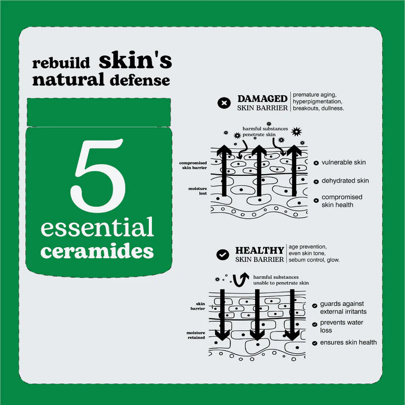 Beesline Everyone Barrier Cream – Hydrating Skin Barrier Protection