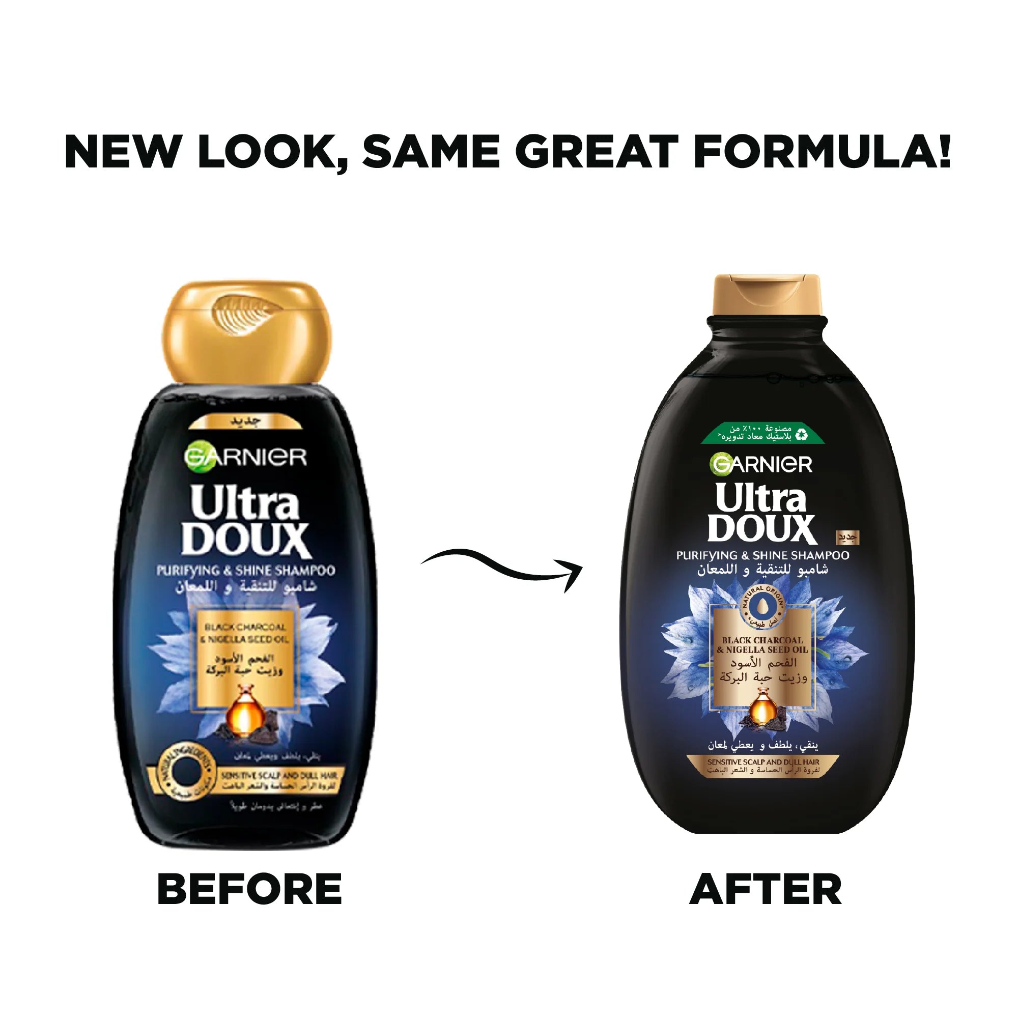 Garnier Ultra Doux Black Charcoal Shampoo