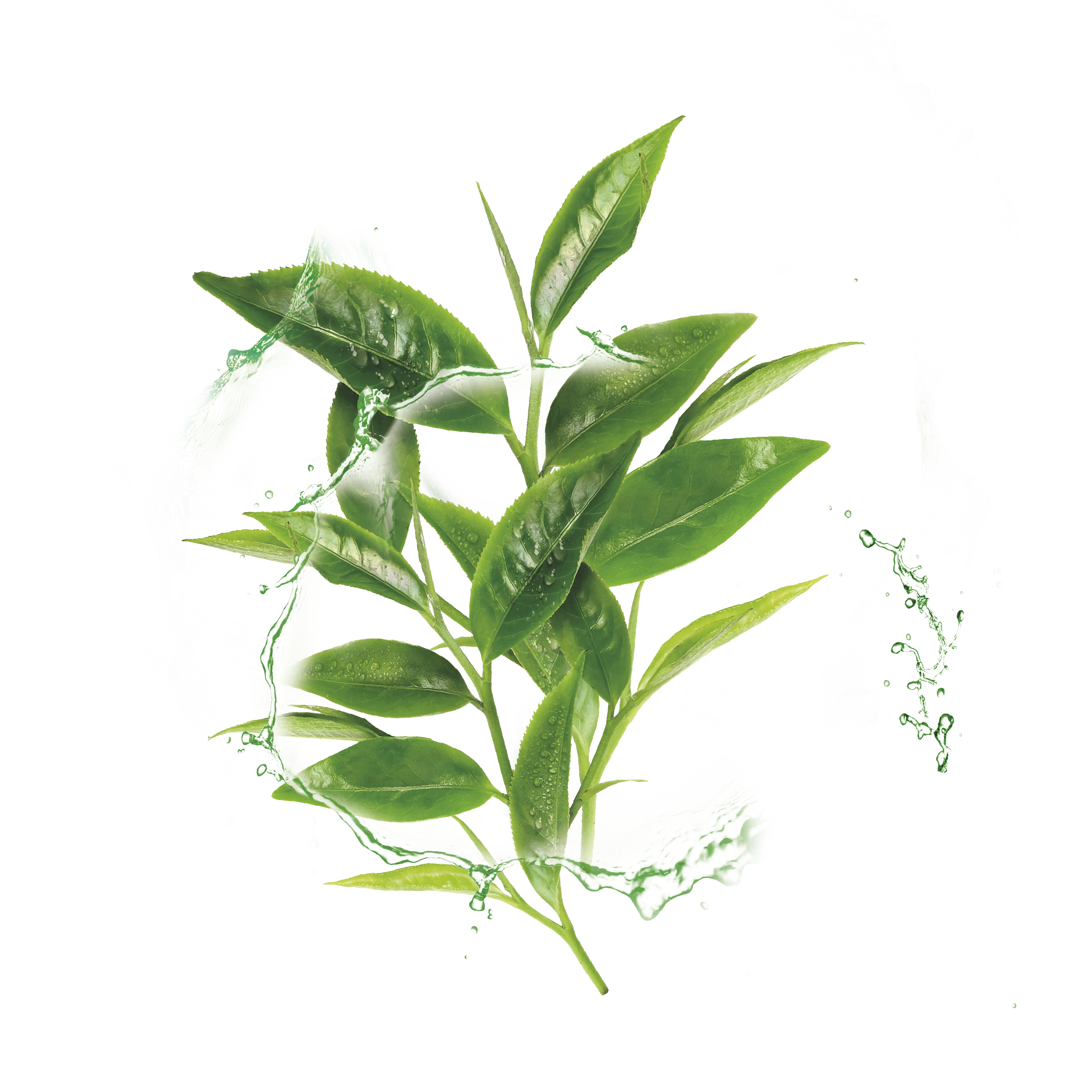 Garnier Hydra Bomb Green Tea Super-Hydrating & Rebalancing Tissue Mask for Normal to Combination Skin