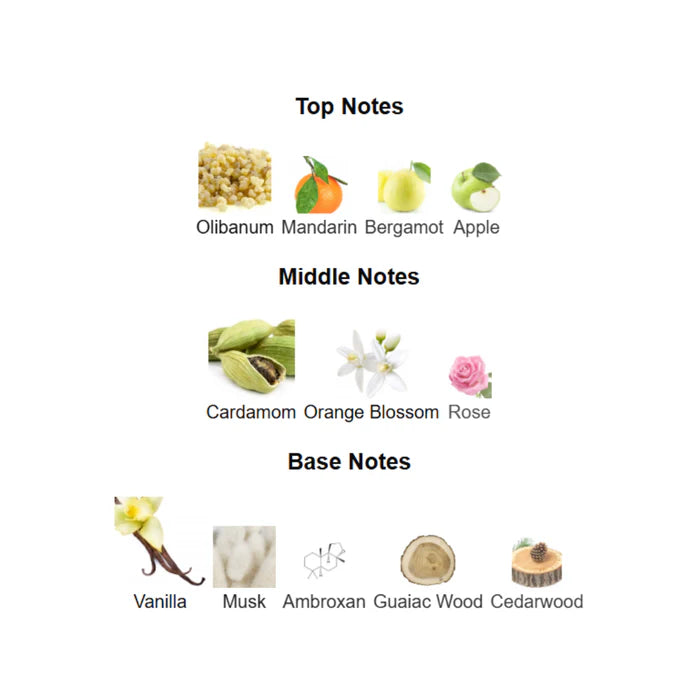 Lattafa Pride Art Of Nature II Eau De Parfum 100ml