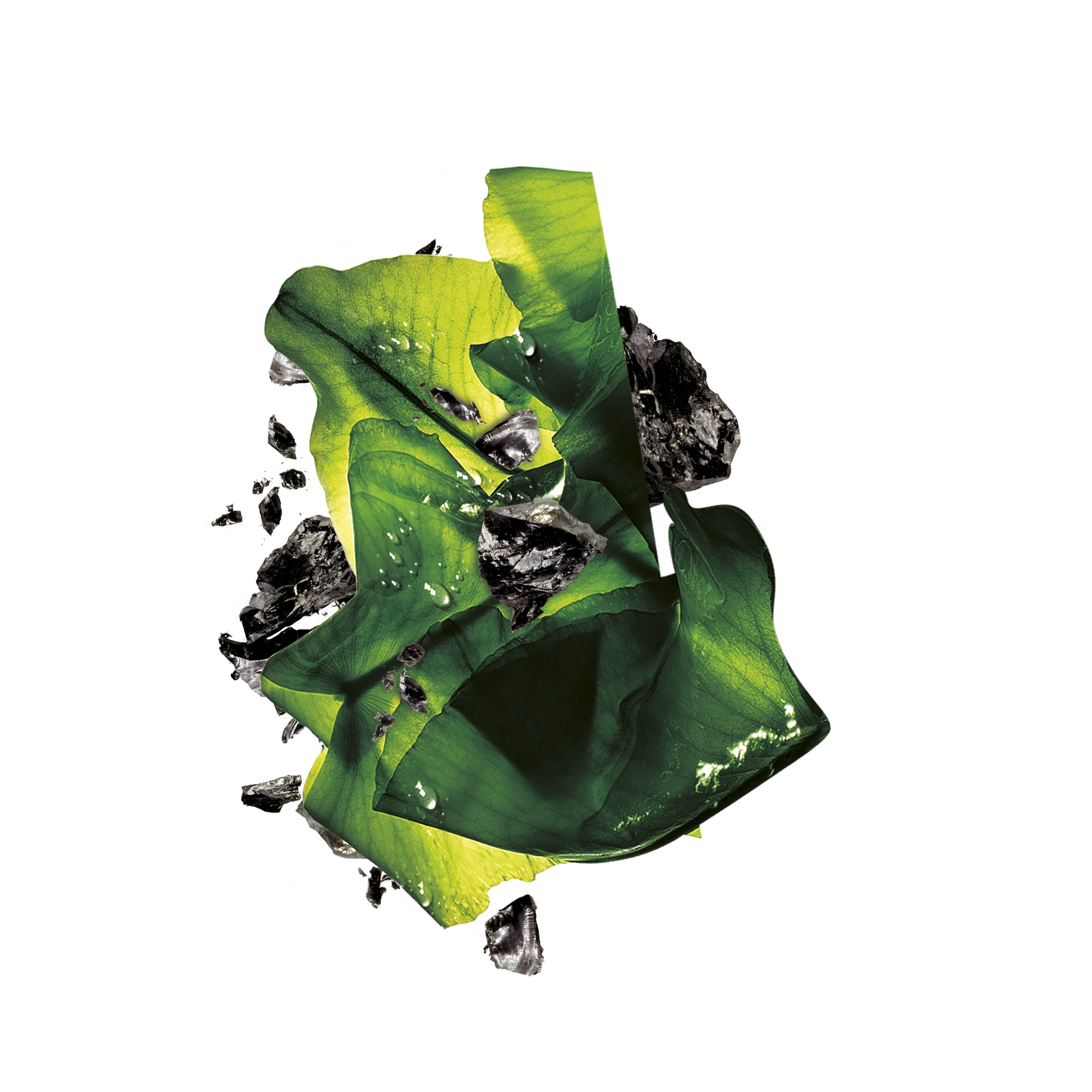 Garnier Charcoal and Algae Hydrating & Purifying Tissue Mask